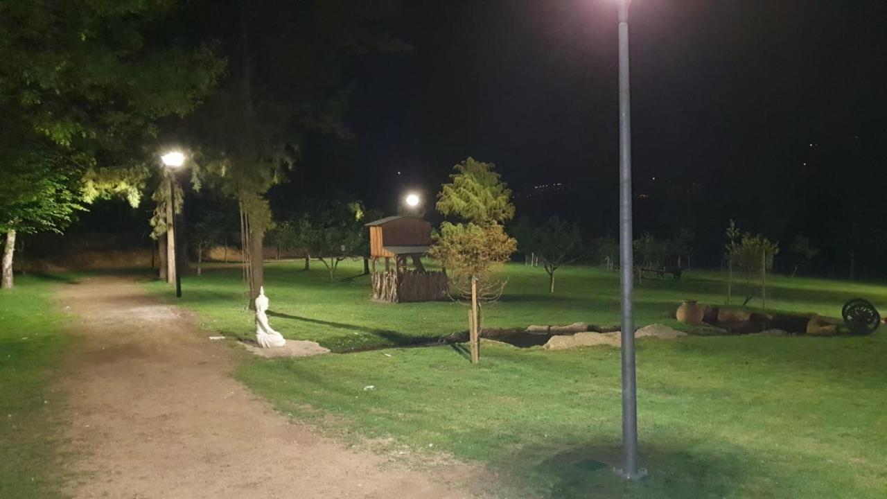 Quinta Da Vinha Do Souto Villa Arouca Exterior foto