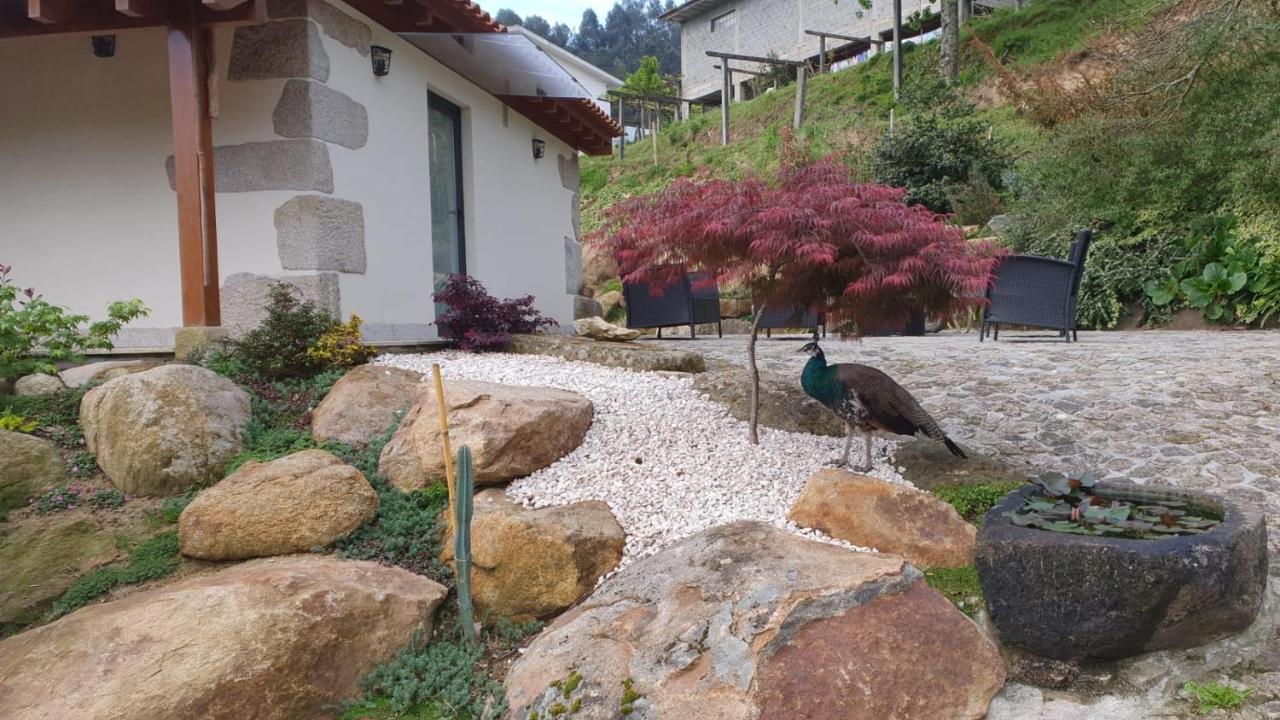 Quinta Da Vinha Do Souto Villa Arouca Exterior foto